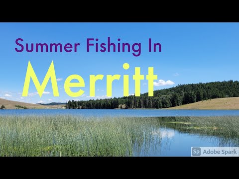 Summer Fishing in Merritt
