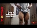 How to gain size in your quads