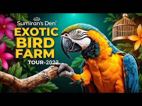 Sumiran's Den( Exotic Bird Farm )- Tour- One of Its Kind | Birsanagar|  Last Video of 2022|