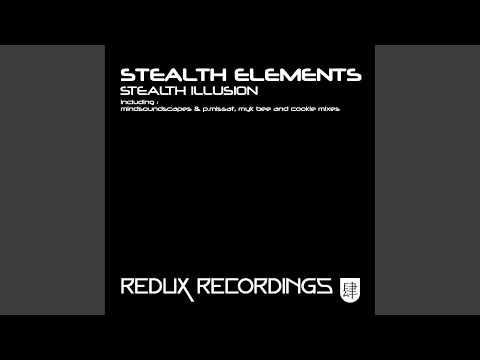 Stealth Illusion (Mindsoundscapes & P.Missat Remix)