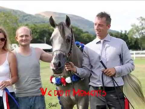 Carradale Arabian Stud Special Moments 2013