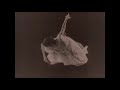 The Thing - Pixies