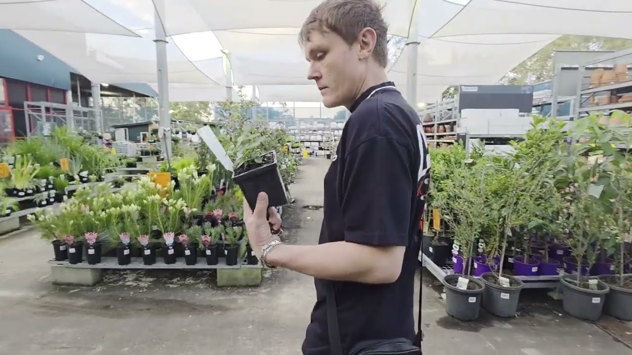 Bunnings - популярный магазин в Австралии . Почём цветы для народа ? Элла Австрали