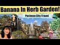 Mountaneous Yet Amazing Area Pocheon City South Korea 포천행 抱川市