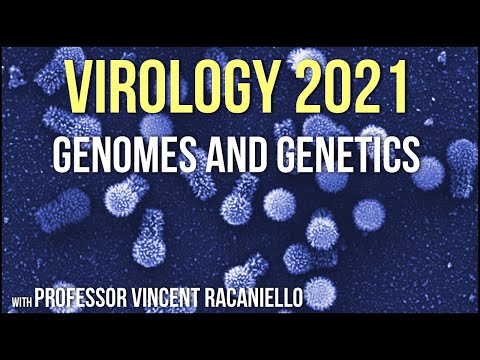 Virology Lectures 2021 #3 - Genomes and Genetics