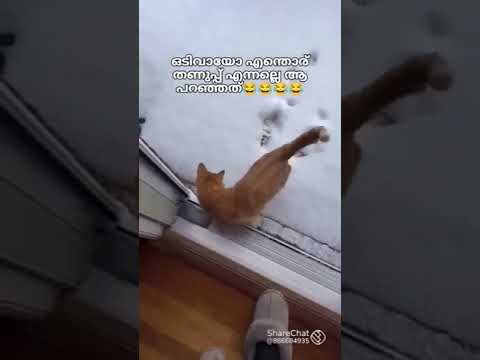 No need for dns test😁