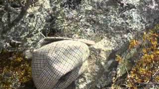 Sardegna   Habib Koite & Bamada   Maraka So