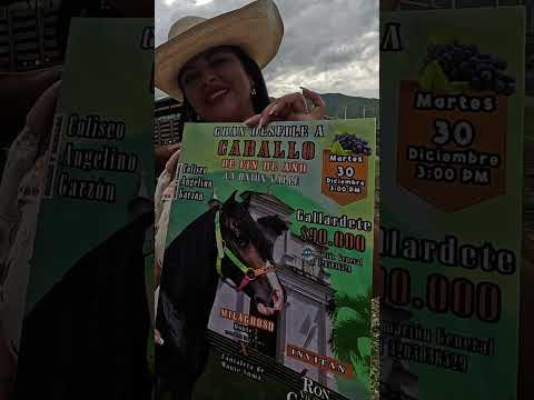 🤠 ¡A Galopar! Cabalgata de Fin de Año en La Unión - Valle 🇨🇴 Dic 30