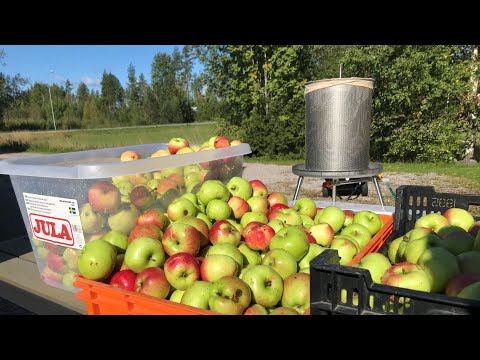 Gör egen äppelmust 2021