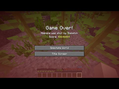 I died in my 9000 days old hardcore world to a skeleton