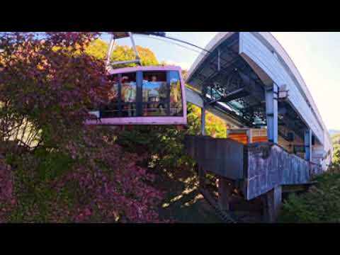 【8K360°VR】香川県　寒霞渓（小豆地域／小豆島町）《香川県》