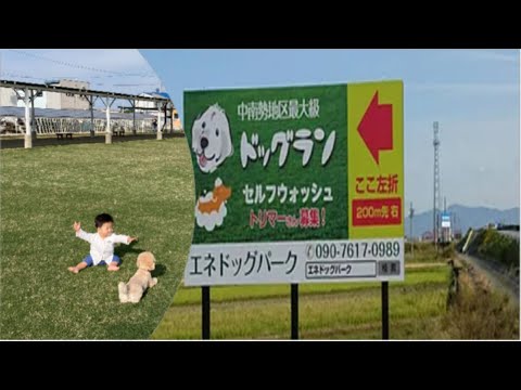 こども学科 【記録用】エネドッグパーク（明和町）を紹介します。