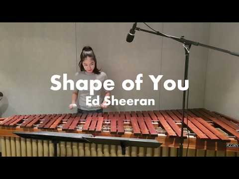 Shape of You - Ed sheeran / Marimba Cover