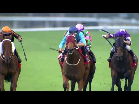 [HKIR 2016] Hong Kong's elite ready for Longines HKIR