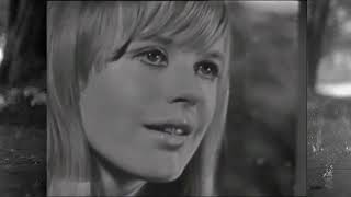 MARIANNE FAITHFULL - WHAT HAVE THEY DONE TO THE RAIN