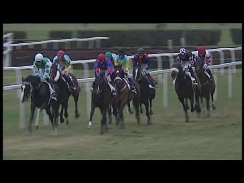 2017-03-02 Corsa n6 m2200 Premio Electrocutionist 2 Batteria Circuito Stayer