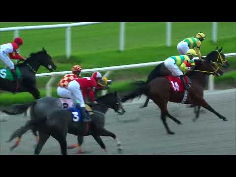 230521 c04 - ROCIO FEVER - HIPODROMO DE MARONAS