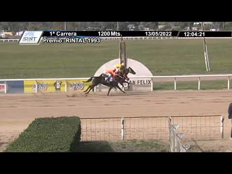 SINT PAYSANDU - 220513 c01 -  1° NECESARIA