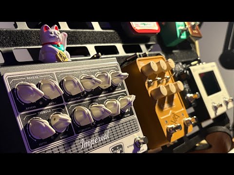 Tone King VS UAFX VS Tonex VS Ampero (No Talking)