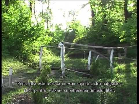 Pensiunea Racova Botosana