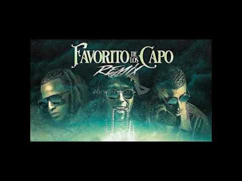 Flow Mafia ✖ Bad Bunny ✖ Arcangel - El Favorito De Los Capos 🐯🐰🐲 ( REMIX ) Audio Oficial ✔ | Trap Tv