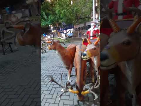 PRAÇA NOSSA SENHORA DA CONCEIÇÃO. CERTO DE BELO JARDIM - PERNAMBUCO. 09/12/2025