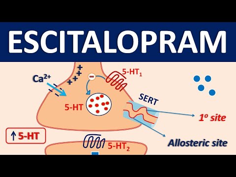 Escitalopram (Lexapro) - Mechanism, precautions, side effects & uses