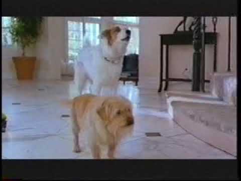 Little Heroes 1 Movie Trailer French 1999 / Jess Mancilla Producer