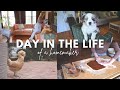 we need a fresh start. / Day in the Life of a Homemaker