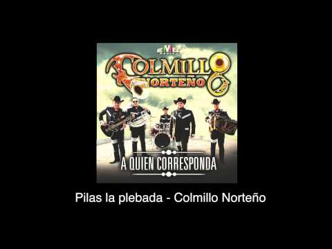 Video Pilas La Plebada (Audio) de Colmillo Norteño