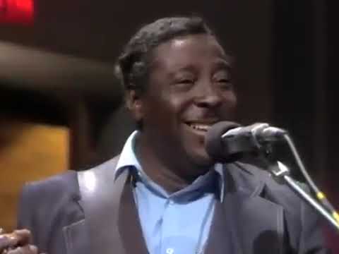 Albert King & Stevie Ray Vaughan — In Session 2010 1983 flv