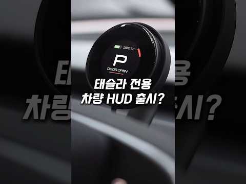 테슬라 전용 계기판이 따로 있다고?