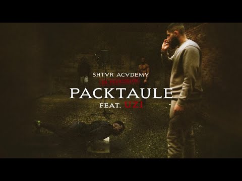 Shtar Academy ft. Uzi - PackTaule (Visualizer)