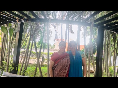 Amidst Nature - In my Vacation House -  Very good Harvest - Fresh Juicy Oranges and Lemons