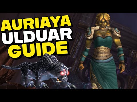 Auriaya 10/25 Ulduar Guide - Quick 2 Minute Guide