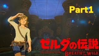 【ゼル伝：BotW】おいおい序盤からこんな死ぬやつおる？