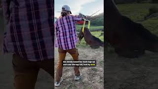 A gentle tractor rescue saves this trapped horse 🚜❤️ #AnimalRescue #FarmRescue #Heartwarming