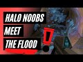 HALO noobs meet the flood FOR THE FIRST TIME - compilation