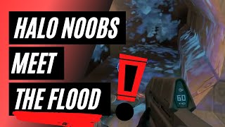 HALO noobs meet the flood FOR THE FIRST TIME - compilation