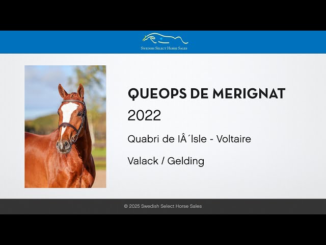 Queops De Merignat - gaits