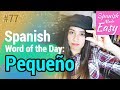 Pequeño Spanish Word Of The Day 77 Spanish Lessons