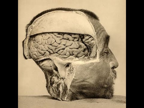 Dari - Mental engineering Live @ 127.0.0.1