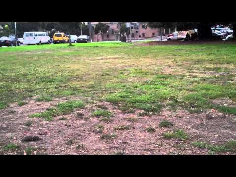 San Francisco, DPH, Police, etc  WANTS ME DEAD - Mobile Crisis 082113p1