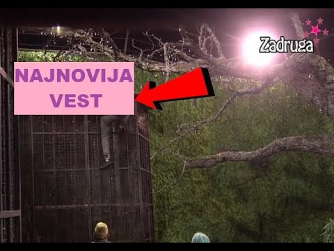 PRESKOČIO ZID za 51 sekund BEKSTVA - OVAJ PUT je USPEO #zadruga #zadrugainfo