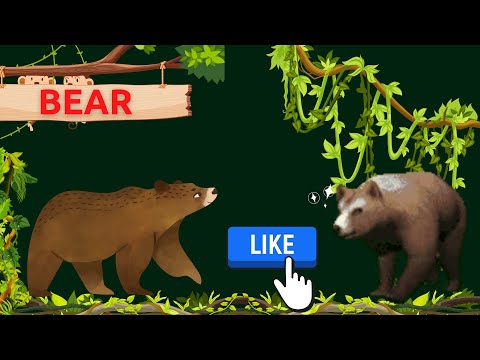 WILD ANIMALS | MUNNU TV |