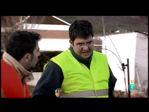 SPLUNGE XIV Florentino Fernández Patricia Conde Niki Nadal Eva Hache Quequé Agustín Jiménez 628 1822