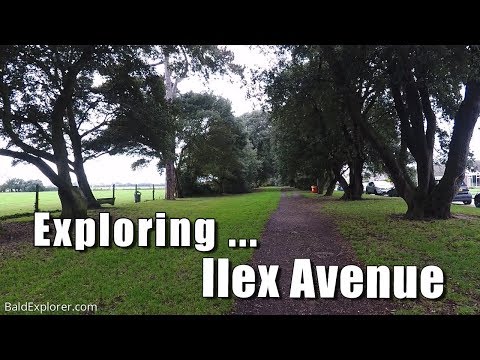 Walks in England: Exploring Ilex Avenue in Goring by Sea