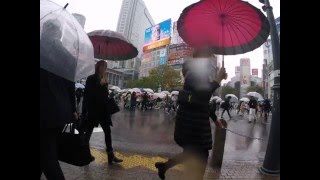 2015-04-13 Shibuya Crossing