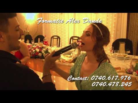 Alex Dande Band - Nunta Pelegrin Oradea 2015 - Colaj 2
