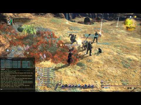 FFXIV Battlecraft Levequest: Dunesfolk for Dinner